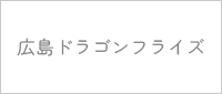 広島ドラゴンフライズ